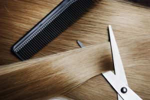 Long healthy blond hair and professional scissors