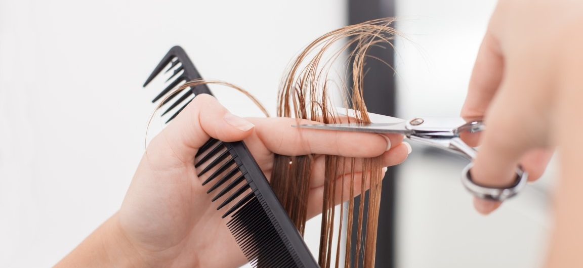 Close up of female hands of hairdresser cutting wet hair with scissors. The woman is raising a bunch of hair and holding a comb