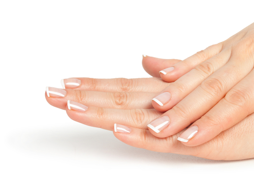 Beautiful female hands with french manicure